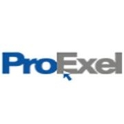 ProExel agency logo