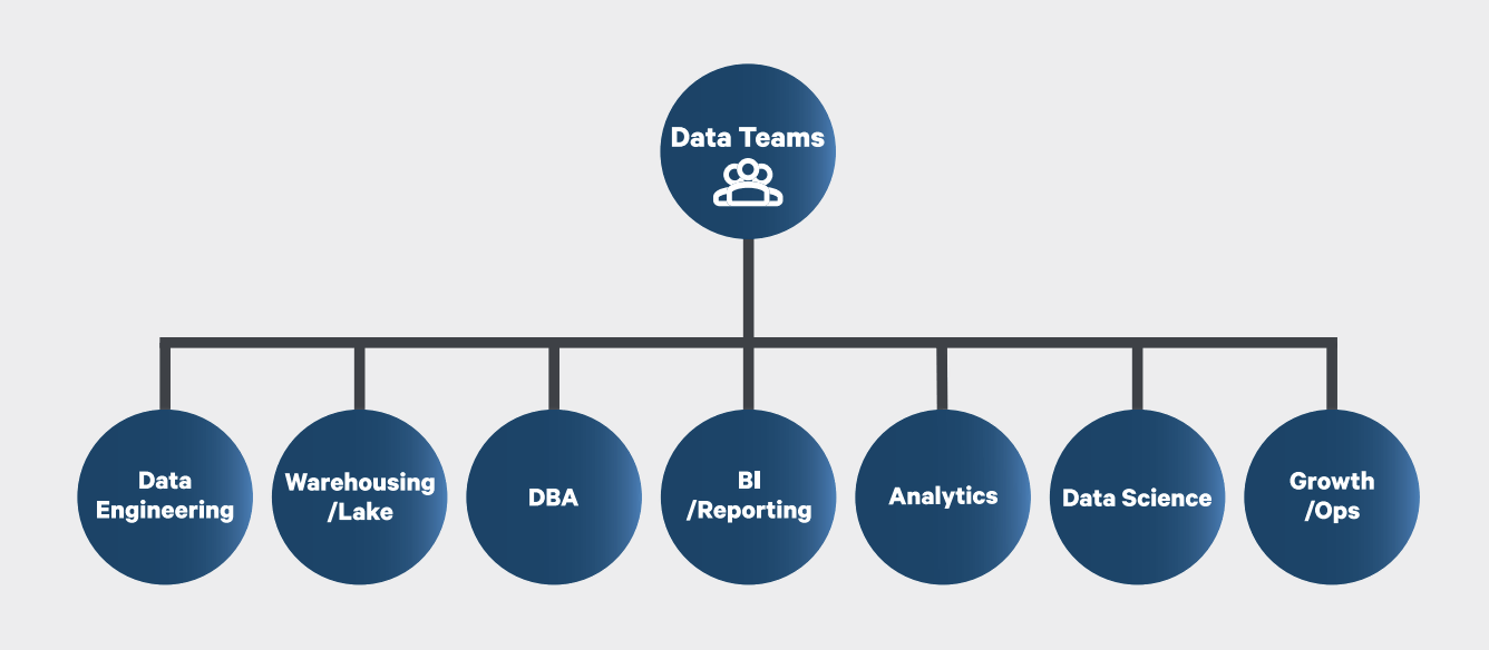Data teams